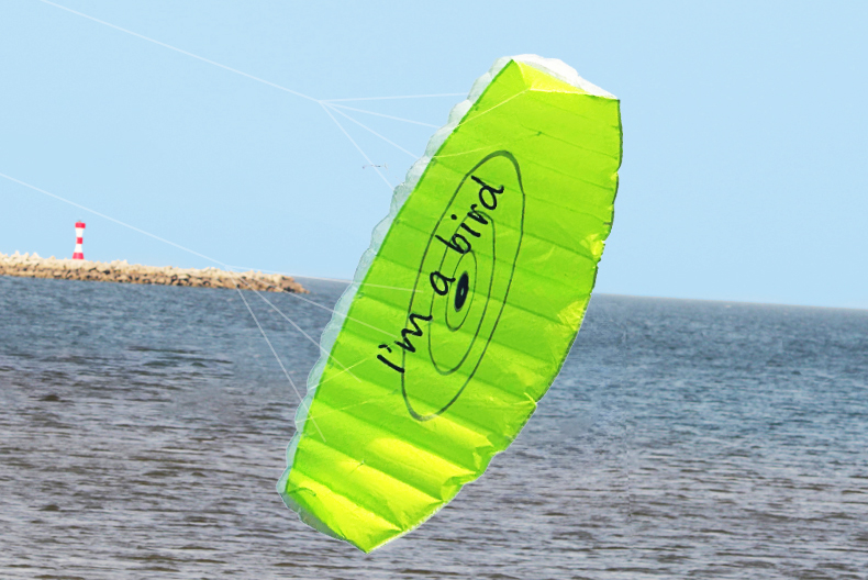 Nowy sportowy drzewnik plażowy – Outdoor Power Line recenzja i cena