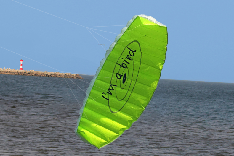 Nowy sportowy drzewnik plażowy – Outdoor Power Line recenzja i cena
