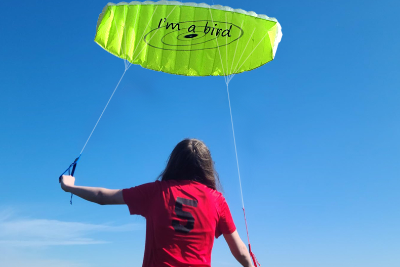 Nowy sportowy drzewnik plażowy – Outdoor Power Line recenzja i cena